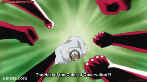 A Cartoon Of A Man With The Words " The Haki Of The Color Of Observation " On The Bottom GIF