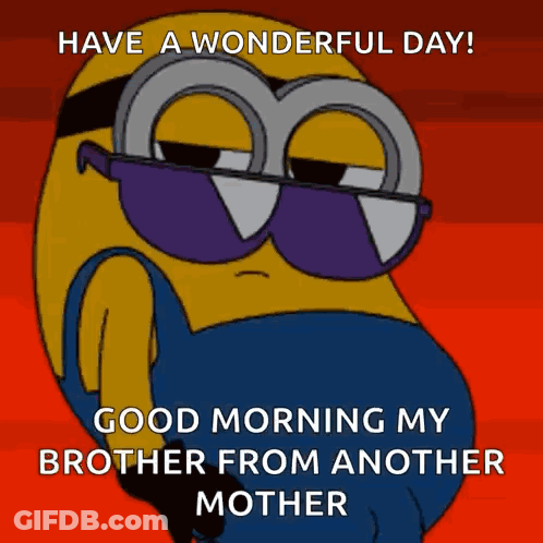 A Cartoon Of A Minion Wearing Sunglasses Says Have A Wonderful Day Good Morning My Brother From Another Mother GIF