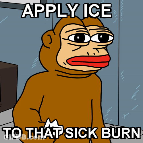 A Cartoon Of A Monkey Holding Ice Cubes With The Words Apply Ice To That Sick Burn Below It GIF