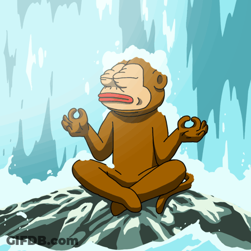 A Cartoon Of A Monkey Sitting On A Rock Meditating GIF