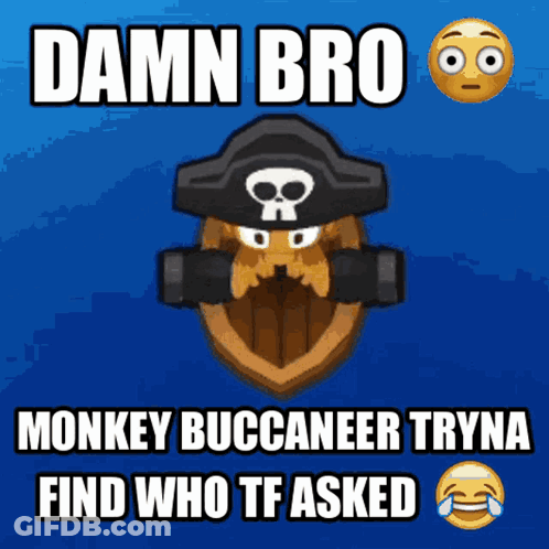 A Cartoon Of A Monkey Wearing A Pirate Hat With The Words Damn Bro GIF