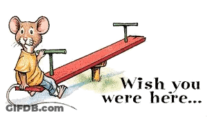 A Cartoon Of A Mouse On A Seesaw With The Words Wish You Were Here Below It GIF