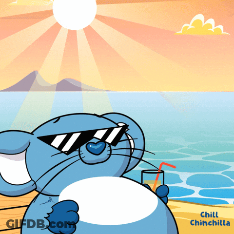 A Cartoon Of A Mouse Wearing Sunglasses And Holding A Drink With The Words Chill Chinchilla Written Below It GIF