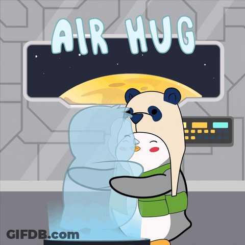 A Cartoon Of A Panda And A Penguin Hugging With The Words Air Hug Above Them GIF
