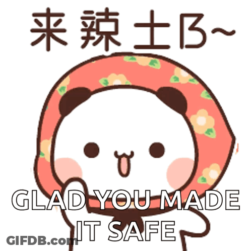 A Cartoon Of A Panda Wearing A Head Scarf With The Words Glad You Made It Safe Below It GIF