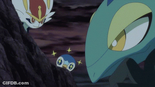 A Cartoon Of A Penguin And A Lizard With Stars On Their Faces GIF