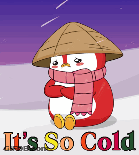 A Cartoon Of A Penguin Wearing A Hat And Scarf With The Words " It 'S So Cold " Below It GIF