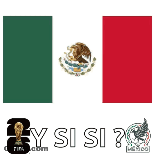 A Cartoon Of A Penguin With A Soccer Ball In Front Of A Mexico Flag GIF