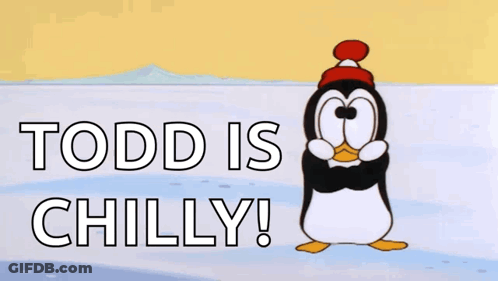 A Cartoon Of A Penguin With The Words Todd Is Chilly Above It GIF