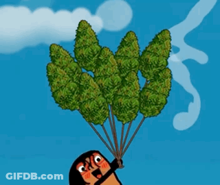 A Cartoon Of A Person Holding A Bunch Of Marijuana GIF