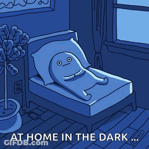 A Cartoon Of A Person Laying In Bed With The Words At Home In The Dark GIF
