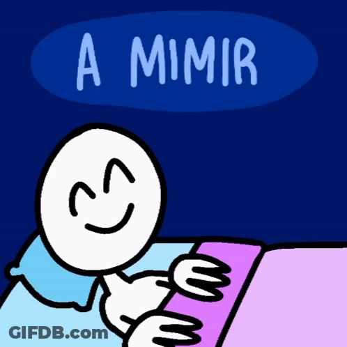 A Cartoon Of A Person Reading A Book With The Words A Mimir Written Above Them GIF