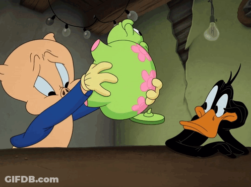 A Cartoon Of A Pig And A Duck Holding A Piggy Bank GIF