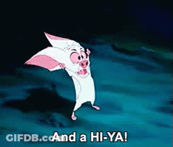 A Cartoon Of A Pig Saying And A Hi-Ya ! GIF