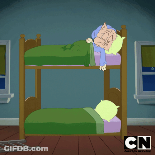 A Cartoon Of A Pig Sleeping On A Bunk Bed With Cn Written On The Bottom GIF