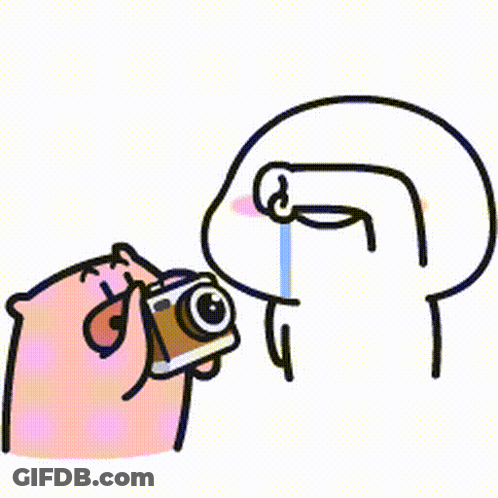 A Cartoon Of A Pig Taking A Picture Of Another Pig With A Camera And Crying . GIF