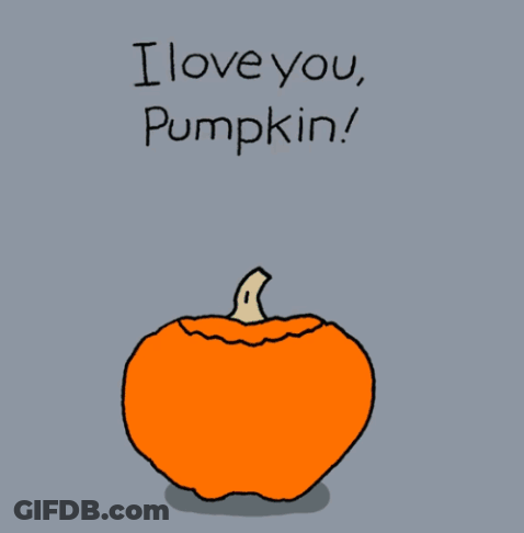 A Cartoon Of A Pumpkin That Says I Love You Pumpkin You Are My Spice GIF