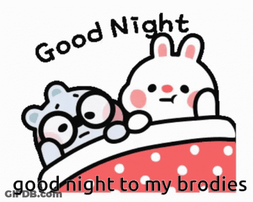A Cartoon Of A Rabbit And A Teddy Bear Saying Good Night To Their Brodies GIF