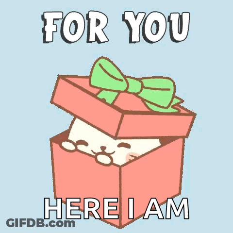 A Cartoon Of A Rabbit In A Box With The Words For You Here I Am GIF