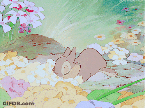 A Cartoon Of A Rabbit Laying In A Field Of Flowers With Disney Everyday Written On The Bottom GIF