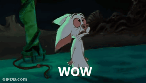 A Cartoon Of A Rabbit With The Word Wow Written Below It GIF