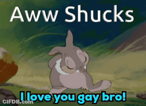 A Cartoon Of A Rabbit With The Words Aww Shucks I Love You Gay Bro GIF