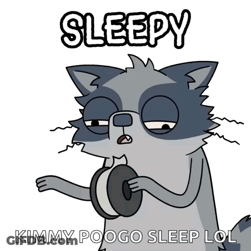 A Cartoon Of A Raccoon Holding A Donut With The Words Sleepy Written Above It GIF