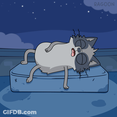 A Cartoon Of A Raccoon Sleeping On A Mattress GIF