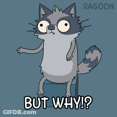 A Cartoon Of A Raccoon With The Words But Why Written Below It GIF