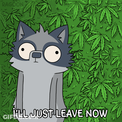 A Cartoon Of A Raccoon With The Words I 'Ll Just Leave Now GIF