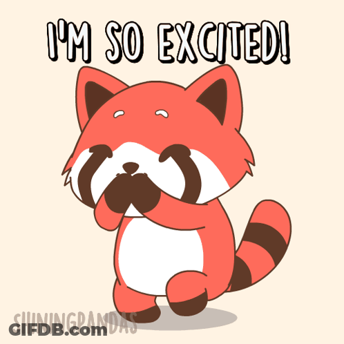 A Cartoon Of A Raccoon With The Words I 'M So Excited GIF