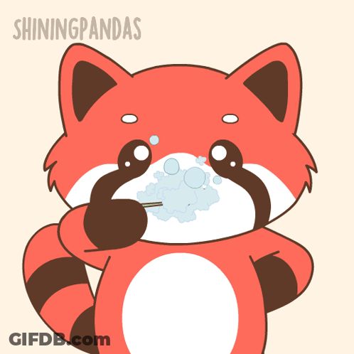 A Cartoon Of A Red Panda Brushing Its Teeth With The Words Shiningpandas Above It GIF