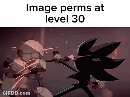 A Cartoon Of A Robot Fighting Another Robot With The Words Image Perms At Level 30 GIF