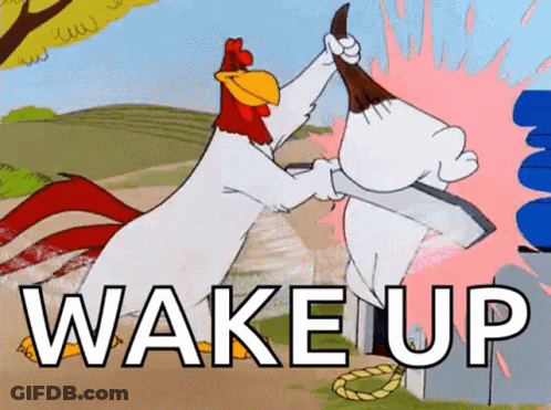 A Cartoon Of A Rooster Fighting Another Rooster With The Words Wake Up In The Corner GIF