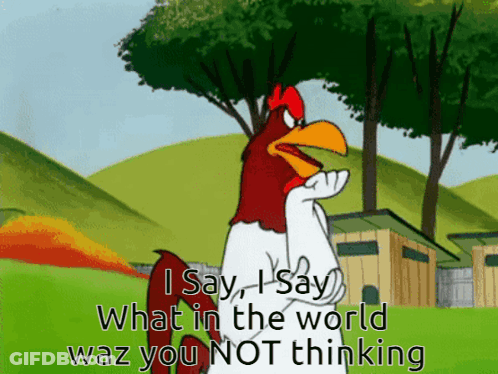 Rooster Say What In The World GIF