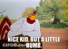 A Cartoon Of A Rooster With The Words Nice Kid But A Little Dumb GIF