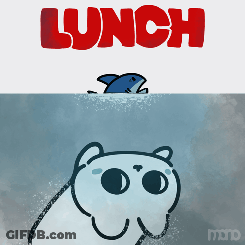 A Cartoon Of A Shark And A Cat With The Word Lunch Above Them GIF