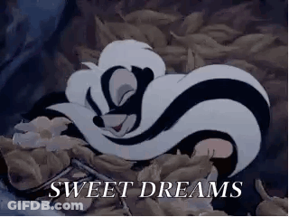 A Cartoon Of A Skunk Sleeping In A Pile Of Leaves With The Words `` Sweet Dreams '' . GIF