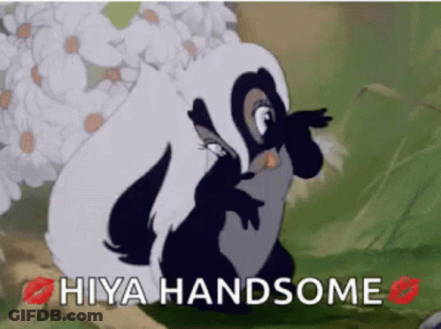 A Cartoon Of A Skunk With The Words Hiya Handsome Above It GIF