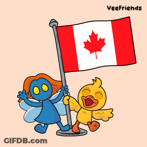 A Cartoon Of A Snake Holding A Canadian Flag Next To A Cat GIF