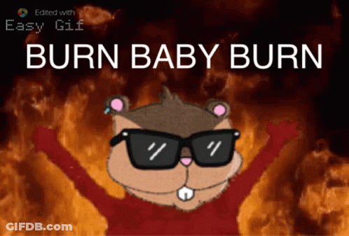 A Cartoon Of A Squirrel Wearing Sunglasses With The Words Burn Baby Burn Below It GIF