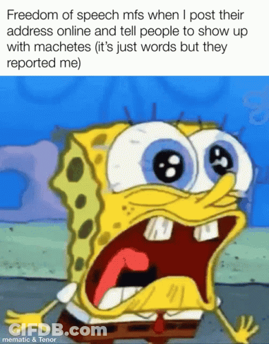 A Cartoon Of A Surprised Spongebob With The Caption Freedom Of Speech Mfs When I Post Their Address Online GIF