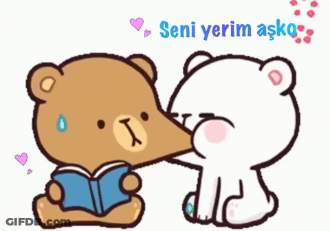 A Cartoon Of A Teddy Bear Reading A Book Next To Another Teddy Bear With The Words Seni Yerim Ask On The Bottom GIF