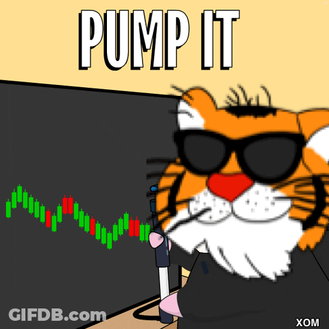 A Cartoon Of A Tiger Wearing Sunglasses With The Words Pump It Written Above It GIF