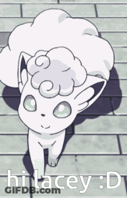 White Cat Saying Hi Lacey D GIF
