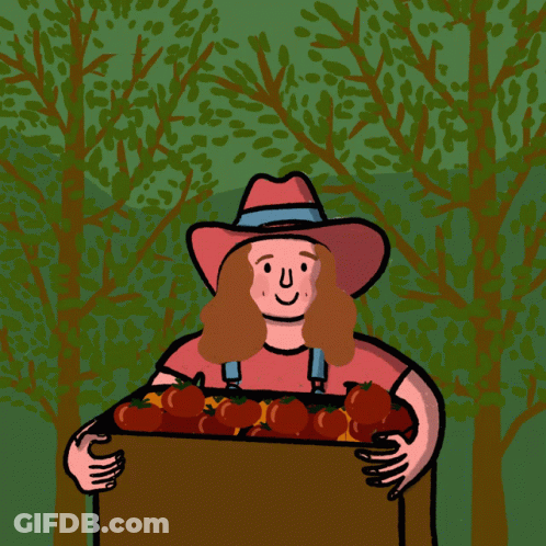 A Cartoon Of A Woman Holding A Box Of Apples With The Words " A Farm Kid With Farm Kid Values " Above Her GIF