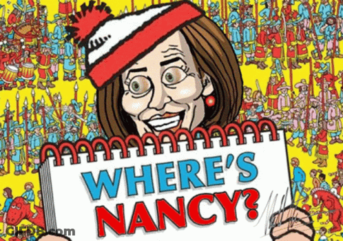 A Cartoon Of A Woman Holding A Sign That Says Where 'S Nancy . GIF
