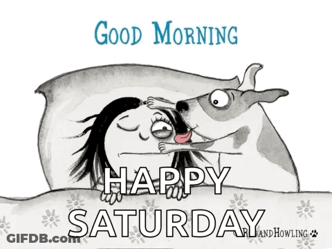 A Cartoon Of A Woman Laying In Bed With A Dog And The Words " Good Morning Happy Saturday " GIF