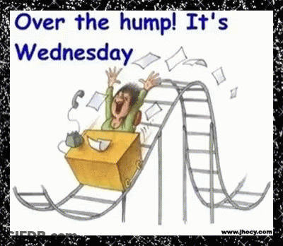 A Cartoon Of A Woman Riding A Roller Coaster With The Words Over The Hump It 'S Wednesday GIF