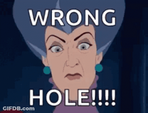 A Cartoon Of A Woman With The Words Wrong Hole Written On It GIF